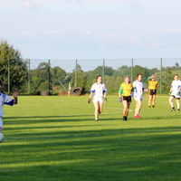 225-img_0386.jpg