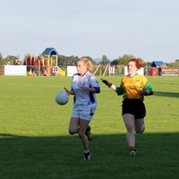 227-img_0388.jpg