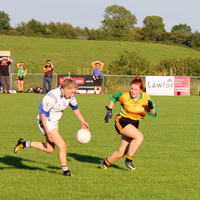 228-img_0390.jpg