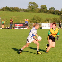 229-img_0391.jpg