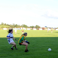 230-img_0392.jpg
