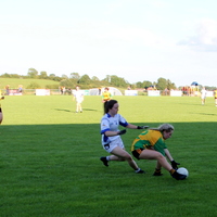 231-img_0393.jpg