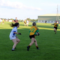 232-img_0394.jpg
