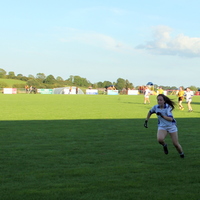 234-img_0396.jpg