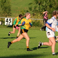239-img_0406.jpg
