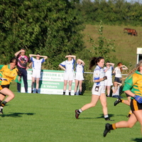 240-img_0407.jpg