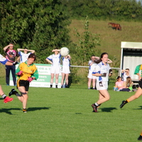 241-img_0408.jpg