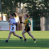 249-img_0425.jpg