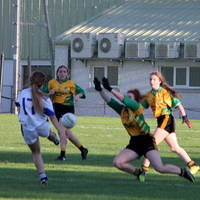250-img_0426.jpg