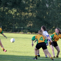 275-img_0477.jpg