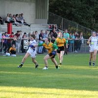 276-img_0481.jpg