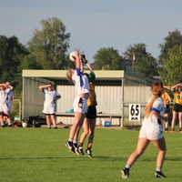282-img_0487.jpg