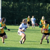283-img_0499.jpg