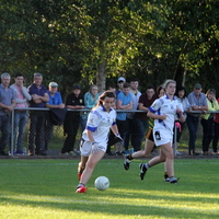 295-img_0514.jpg