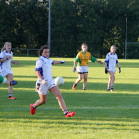 298-img_0517.jpg
