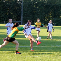 299-img_0518.jpg