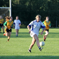 306-img_0527.jpg