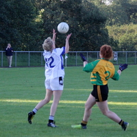 311-img_0532.jpg
