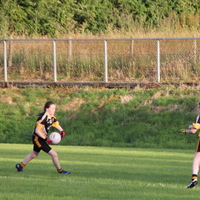 133-img_0226.jpg
