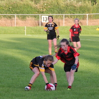 138-img_0234.jpg