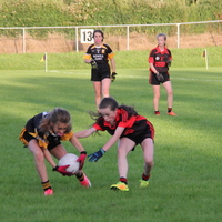 139-img_0235.jpg