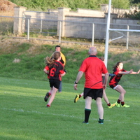 140-img_0239.jpg