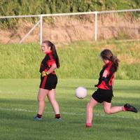 141-img_0240.jpg