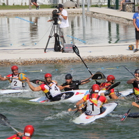 446-img_2511.jpg