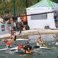 464-img_2533.jpg