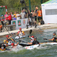 478-img_2550.jpg