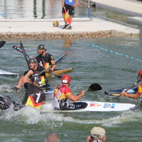 481-img_2555.jpg