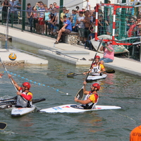 513-img_2596.jpg