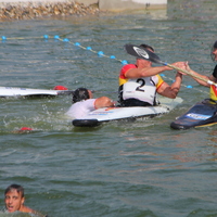 558-img_2649.jpg