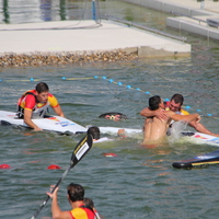 560-img_2651.jpg