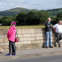 47-img_0068.jpg