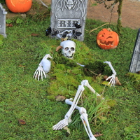 06-img_0005.jpg