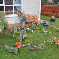 08-img_0007.jpg