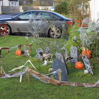 19-img_0019.jpg