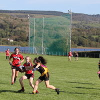 102-img_0478.jpg
