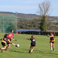 103-img_0479.jpg