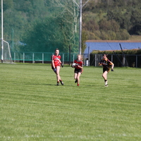 114-img_0505.jpg