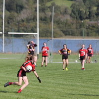 125-img_0529.jpg