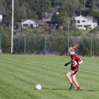 129-img_0536.jpg