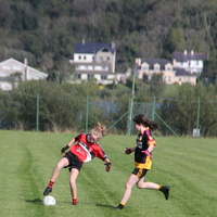 130-img_0537.jpg