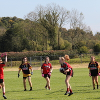 145-img_0554.jpg