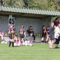 163-img_0602.jpg
